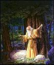 Premena druida